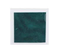 Visor magnético, película de visualización magnética verde, película mágica de aprendizaje de magnetismo de campo magnético para uso de observación científica, 50 * 50 mm