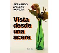 Vista desde una acera (SIN COLECCION)