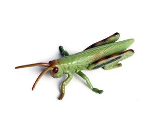 Vistnale Saltamontes|.Colección de Insectos y Juguetes de Saltamontes: Figuras de Muy detalladas para Que los niños aprendan, estudien la Naturaleza, decoren Halloween y expongan Ciencia