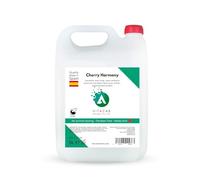Vitacab Jabón de Manos Líquido 5L - Cherry Harmony | Antibacteriano, Sin Parabenos, pH Neutro | Fragancia Fresca y Duradera | Ideal para Familia, Hostelería y Trabajo
