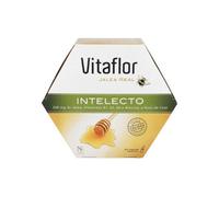Vitaflor Jalea Real Intelecto 20amp