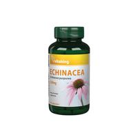 Vitaking - Echinacea Purpurea 250 mg (90 cápsulas)