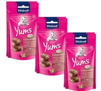 Vitakraft Cat Pate de Snacks para Gatos 40g - con +70% de Carne - Horneado Tierna - de Sin - Pack 1, 3, 6 Unidades