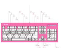 vitalASC Teclado USB de impresión grande de 104 teclas con cable de 7 pies, resistente a derrames, rosa intenso y blanco, teclado duradero para laptop, Mac, TV y computadora (rosa)