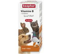 VITAMIN B COMPLEX 50ML - conjunto de vitaminas B