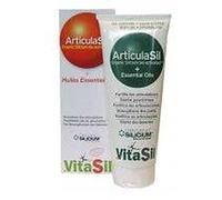 Vitasil Articulasil He Gel 225 ml de Dexsil