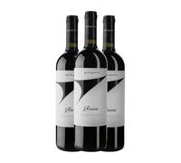 Vite Colte Ansisa Barbera Barbera d'Alba 75 cl Vino tinto (Caja de 3 Botellas de 75 cl)