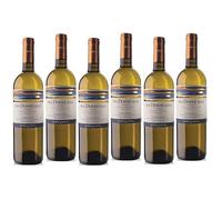VITE COLTE TRA DONNE SOLE SAUVIGNON PIEMONTE DOC 75 CL 6 BOTTIGLIE