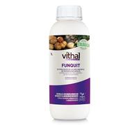 VITHAL EXPERT FUNQUIT 1L