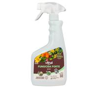 VITHAL Fungicida Forte LU 750 ml - Fungicida Plantas Preventivo, Curativo, Amplio Espectro Contra Enfermedades Fúngicas, Uso Ecológico, Efecto De Choque y Gran Persistencia