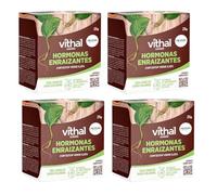 Vithal Garden Polvo Enraizante para Esquejes de Plantas 25 g | Hormonas Enraizantes Profesionales | Estimulador del Crecimiento Radicular | Ideal para Herbáceos y Leñosos | Envase de 25 gramos (4)