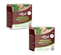 Vithal Garden Polvo Enraizante para Esquejes de Plantas 25 g | Hormonas Enraizantes Profesionales | Estimulador del Crecimiento Radicular | Ideal para Herbáceos y Leñosos | Envase de 25 gramos (2)