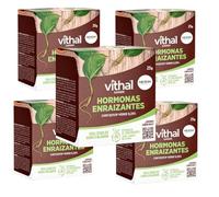 Vithal Garden Polvo Enraizante para Esquejes de Plantas 25 g | Hormonas Enraizantes Profesionales | Estimulador del Crecimiento Radicular | Ideal para Herbáceos y Leñosos | Envase de 25 gramos (5)