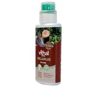 VITHAL Pasta Cicatrizante Sellaplus 290g - Protege y Cicatriza Árboles Frutales y Arbustos Tras Poda e Injertos, Protección Contra Heridas y Daños Climáticos