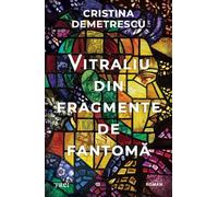 Vitraliu din fragmente de fantoma - Cristina Demetrescu
