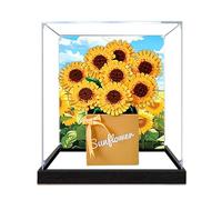 Vitrina acrílica, compatible con Lego 40524, caja de juguetes de flores, juego de caja a prueba de polvo, caja de almacenamiento, compatible con Lego 40524 (solo vitrina, kit no incluido) (espejo