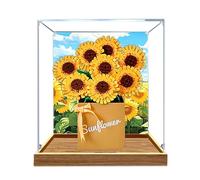 Vitrina acrílica, compatible con Lego 40524, caja de juguetes de flores, juego de caja a prueba de polvo, caja de almacenamiento, compatible con Lego 40524 (solo vitrina, kit no incluido) (spray