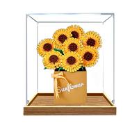Vitrina acrílica, compatible con Lego 40524 Kit de caja de juguetes de flores, juego de caja a prueba de polvo, caja de almacenamiento, compatible con Lego 40524 (solo vitrina, kit no incluido