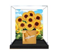 Vitrina acrílica, compatible con Lego 40524 Kit de caja de juguetes de flores, juego de caja a prueba de polvo, caja de almacenamiento, compatible con Lego 40524 (solo vitrina, kit no incluido) (spray