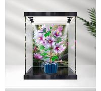 Vitrina acrílica para le-go 10372 Botanical Flower Set - Escaparate a prueba de polvo con luz LED y fondo impreso, marco de aleación, listo para regalo, caja de 30 x 20 x 40 cm (B)