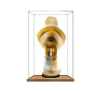 Vitrina Acrílica para Le*GO 75398 C-3PO - Caja de presentación y almacenamiento transparente y a prueba de polvo para modelos de construcción de colección (no incluidos) (Wood Tone-2mm)