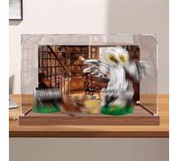 Vitrina acrílica para Le-go 76425 Ligustrum Road Owl Model, caja expositora a prueba de polvo (solo caja expositora) (fondo estilo B 3 mm)