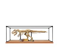 Vitrina acrílica para Lego 76968 Dinosaur Fossil: Tyrannosaurus Rex, caja de exhibición a prueba de polvo de 3 mm, vitrina compatible con Lego 76968 (modelo no incluido) (marco de aleación B)