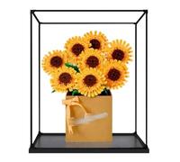 Vitrina acrílica transparente para Lego 40524 modelo girasol, caja transparente, caja de almacenamiento, caja a prueba de polvo (modelo no incluido) (borde de aleación-A)