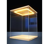 Vitrina acrílica, Vitrina acrílica con LED para coleccionables y Figuras de Soldados - Vitrina Transparente con Puerta, 10x10, 12x12, 30x30 cm (o 24x24x6 Pulgadas) - Ideal para
