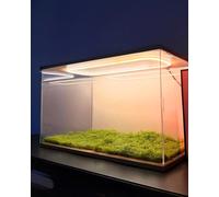 Vitrina acrílica, Vitrina acrílica Moderna apilable para Figuras y especímenes - Disponible en 4x4x4, 6x6x6, 8x8x8, 10x10x10, Extra Grande 20x30x30cm (8x12x12in) Vitrina para coleccionables