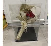 Vitrina de Acrílico Cajas Rectangulares De Acrílico Para Exhibición, Grandes, A Prueba De Polvo, Para Artefactos, Muñecas, Mini Cascos Y Trofeos, Vitrinas Transparentes Coleccionables.(H 10cm/3.9in,Lx