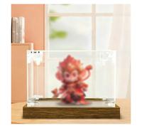 Vitrina de Acrílico Contenedores De Almacenamiento Apilables De Acrílico Transparente, Vitrina De Fácil De Ensamblar con Base De Madera, Caja Organizadora(25x20x15cm/9.8x7.9x5.9)