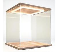 Vitrina de acrílico Vitrina Acrílico Transmisible Luz, Cubo Rectángulo Cajas de exhibición transparentes, Figura/Miniaturas/Coches/Bloques de construcción de plástico Contenedores de almacenamiento