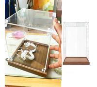 Vitrina de Acrílico Vitrina Acrílico Transparente 10 15 20 25 30 40 50 55cm, Vitrina Figuras Acción Prueba Polvo Base Madera, Mueble Figuras Coleccionables, Cubo Plástico(20x15x25cm(8"x6"x10"))