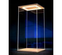 Vitrina de acrílico, Vitrina con Puerta a Prueba Polvo luz LED for coleccionables Varios tamaños(50x50x50cm(20x20x20in))