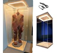 Vitrina de Acrílico Vitrina LED Extra Alta Acrílico Transparente a Prueba de Polvo - 10/15/20/25/30/35/40/45/50/60cm Figuras de Colección Gran Altura Luz Puerta, Armario(15x15x50cm/6x6x20in)