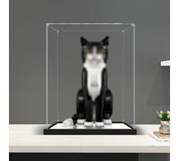 Vitrina Expositora Cajas Acrílicas Transparentes con Base de Espejo, Caja de Almacenamiento de Exhibición Acrílica de Recuerdos de Autoensamblaje, Soporte Organizador de Cubos Elevador(50cm(20")x50cm(