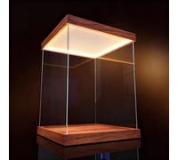 Vitrina Expositora Cajas Altas de Acrílico Transparente para Exhibición, Vitrina de Plástico con Luz Superior, Funda Antipolvo para Libros Antiguos, Relojes y Modelos(25x25x30cm(10"x10"x12"))