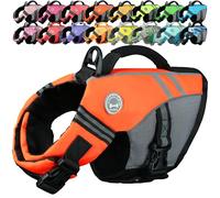 VIVAGLORY Chaleco Salvavidas de Estilo Deportivo para Perros con Flotación Adicional, Chaleco de Natación Ajustable y Duradero para Perros Pequeños, Naranja Brillante
