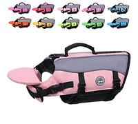 VIVAGLORY Chaleco Salvavidas para Perros con Flotador Frontal Desmontable, Chaleco con Ribetes Reflectantes y Acolchado Extra para Nadar y Navegar, Rosa Sakura, S