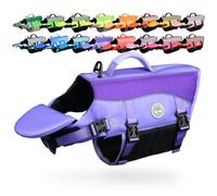 VIVAGLORY Chaleco Salvavidas para Perros con Flotador Frontal Removible, Chaleco con Detalles Reflectantes y Relleno Extra para Nadar y Navegar, Púrpura, XXS