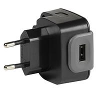 Vivanco PAH 24 USB de Fuente de alimentación (Ambos Lados conectable, 2,4 A) Colour Negro