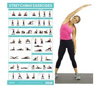 Vive Póster de ejercicios de estiramiento, entrenamiento de estiramiento para rehabilitación, gimnasio, hogar, guía de instrucciones básicas de poses de peso corporal, laminado, 52 rutinas elásticas,
