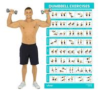 Vive Póster de entrenamiento con mancuernas - Ejercicio de gimnasio en casa para parte superior, inferior, cuerpo completo, tabla de peso corporal laminada para espalda, brazo, (30 x 17 pulgadas)