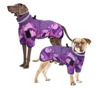 Vivi Bear Abrigo Impermeable para Perro, Chaqueta de Invierno a Prueba de Viento con Tiras Reflectantes de Seguridad y Arnés D-Anillo para la Formación de Ocio al Aire Libre, Deportes y Caza, Morado