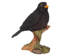 Vivid Arts Amigos del jardín - Mirlo - WBC-BLBD-D