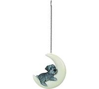 Vivid Arts - Decoración colgante de luna Schnauzer para el hogar o el jardín (HPP-M46-G)