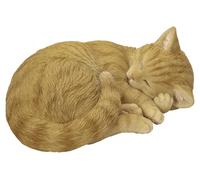 Vivid Arts - Gato durmiendo jengibre - XRL-ZC31-D