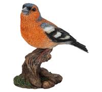 Vivid Arts Pájaros de jardín (pinzuelo)