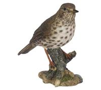 Vivid Arts Pájaros de jardín (zorzal de canción)